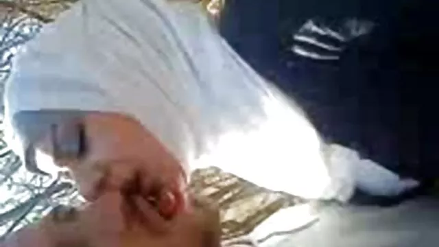 سکس سگکی با آماریس محافظه کار، آناستازیا بروکلین، آنجل امیلی، آنا پائولینا، بیبی نیکولز، کلوئی لامور، فلورنت راسل، جورجی لیال، جنیفر مندس، جوزفین جکسون، کایسا نورد، سکسزوری کیتانا لور، مریلین شوگر، مری راک، ناتالی کی شری، ، Rae Lil Black ، Rita Peach ، Scarlet Rebel ، Stacy Cruz ، Sybil ، Talia Mint و Zazie Skymm از Sexy Hub